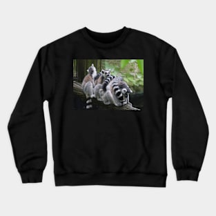 I'll Be Look-Out! Crewneck Sweatshirt